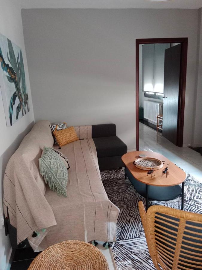 Apartament Central Lodge *